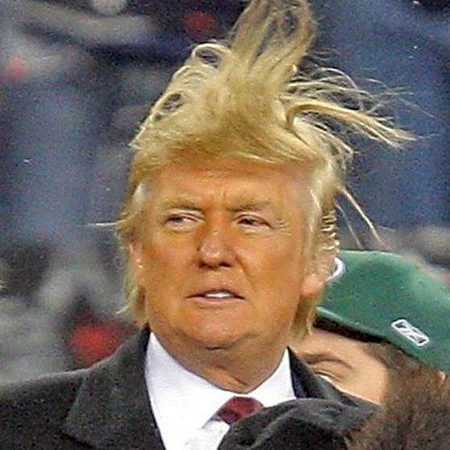 Donald Trump in the Wind