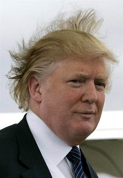 Donald Trump in the Wind